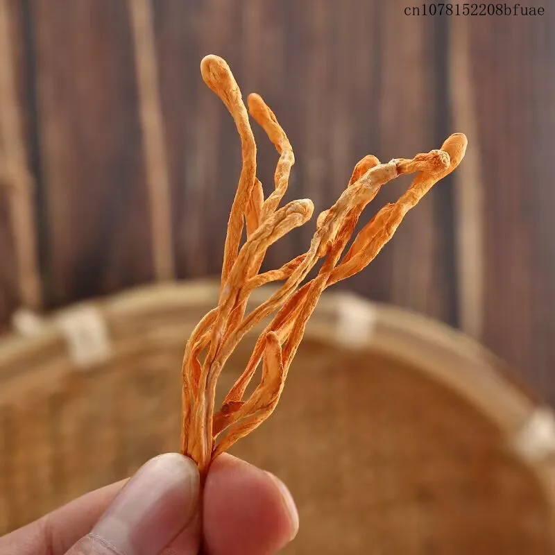 250g/500g Bunga Cordyceps Keri - Dried Herbs ulasan dan harga
