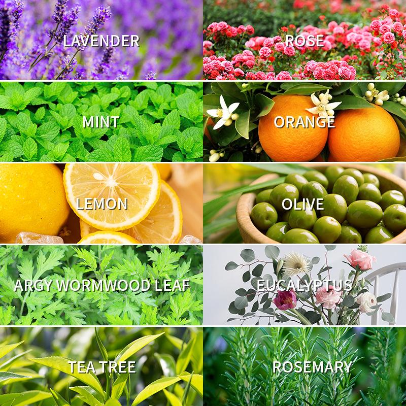 Minyak Esensial Aromaterapi 10 - Lavender Oil ulasan dan harga