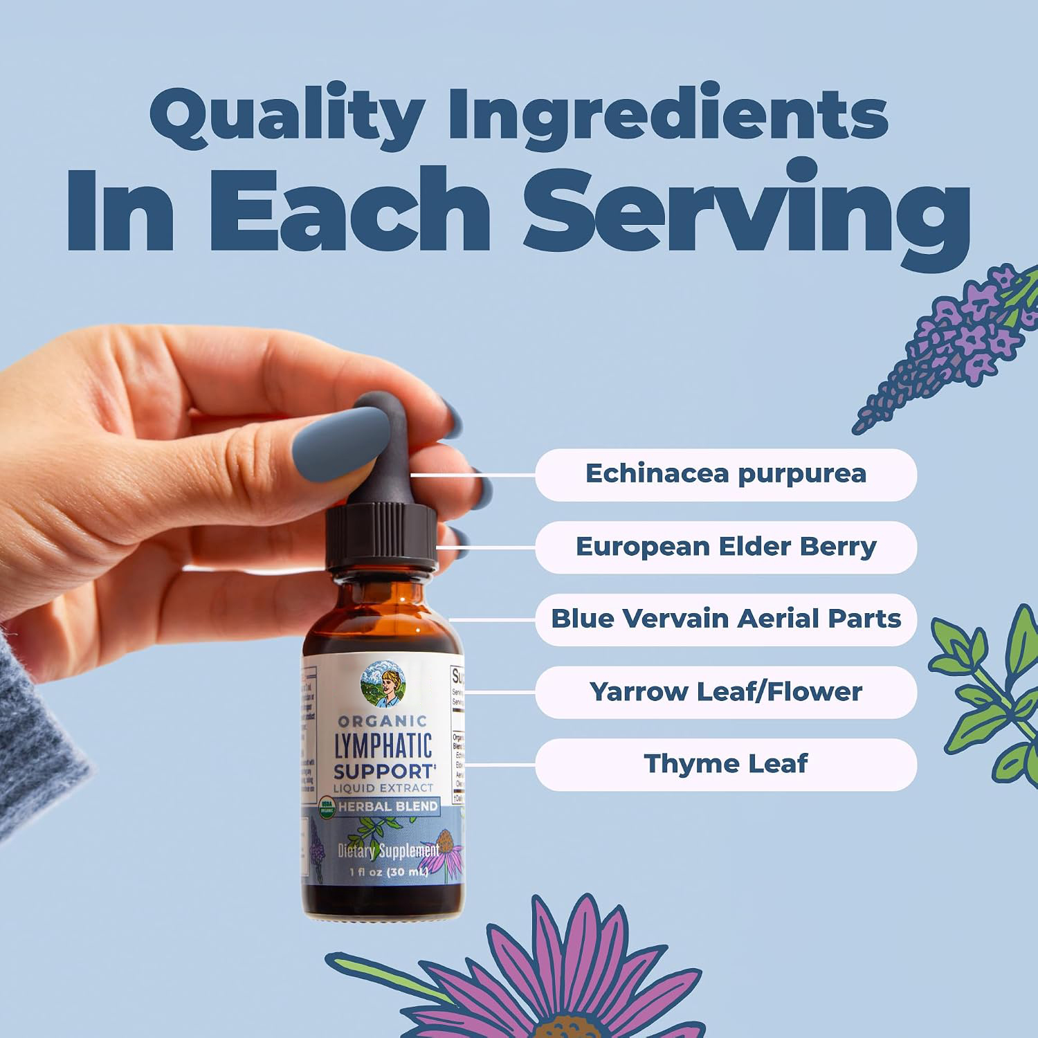 Tetesan Cairan Pendukung Siste - Echinacea ulasan dan harga