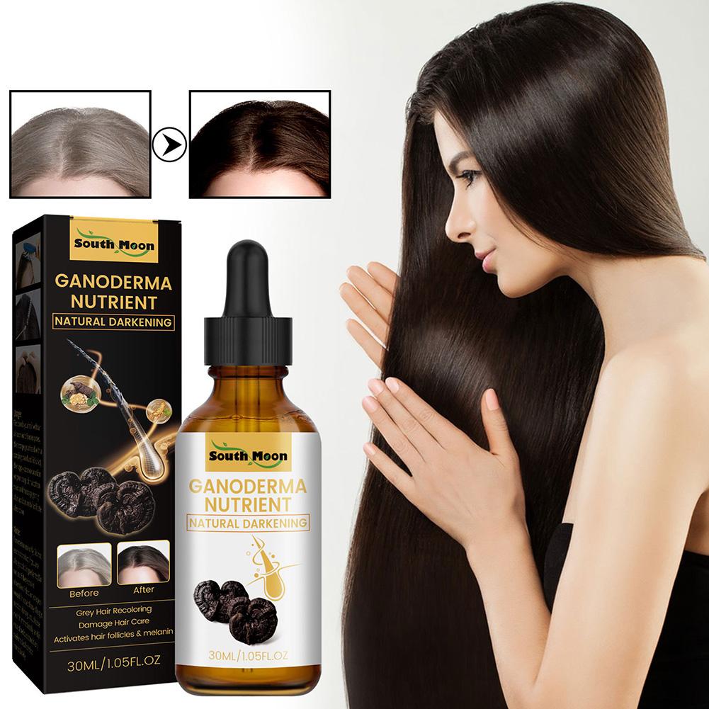 Serum Nutrisi Rambut Ganoderma - Licorice Root Sticks ulasan dan harga