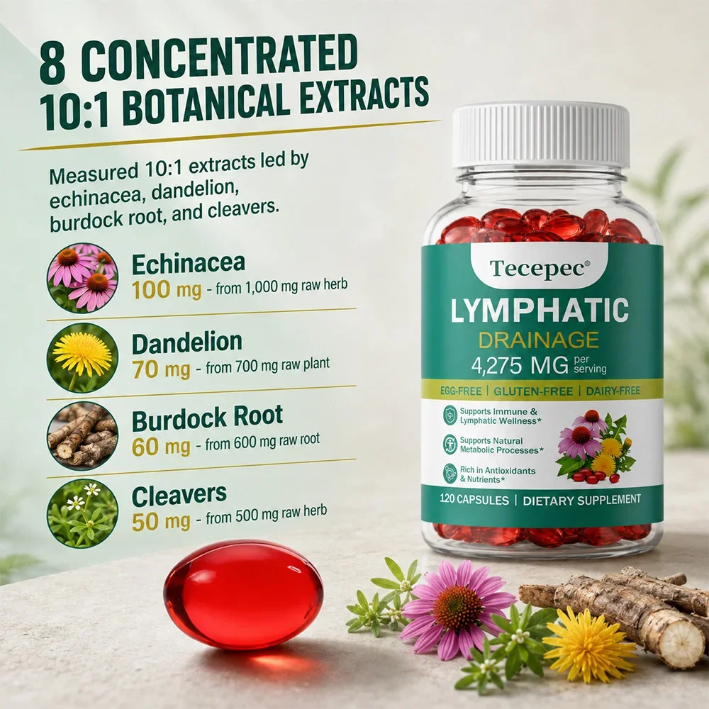 Pengelolaan Sistem Limfatik –  - Echinacea ulasan dan harga